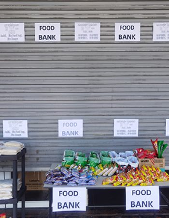 Signature Tint Shop Food Bank