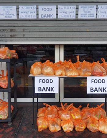 Signature Tint Shop Food Bank